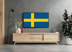 VPN Sverige: Sådan Ser Du Svensk TV i Danmark med en VPN