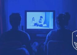 Se Fransk TV i Danmark (France 2, TF1, M6, myCANAL & 6Play)